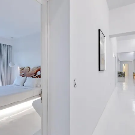 Amuse Mykonos Villa *