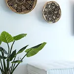 Ftelia Project Ii