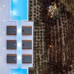 빌라 Ftelia Project Ii Panormos (Mykonos)