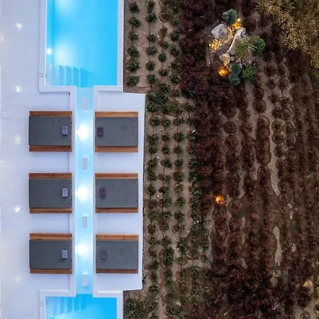 Villa Ftelia Project Ii Panormos (Mykonos)